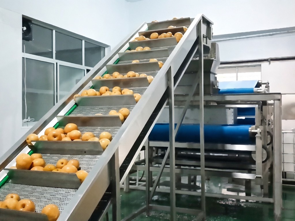 博宇環(huán)保-梨汁壓榨生產(chǎn)線