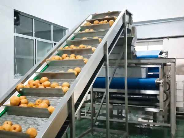 梨汁壓榨生產線