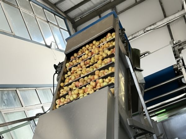 水果壓榨生產線